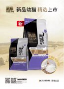 爵加新品幼貓精選上市！
