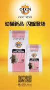 奧丁精品幼貓糧閃耀登場?。?！