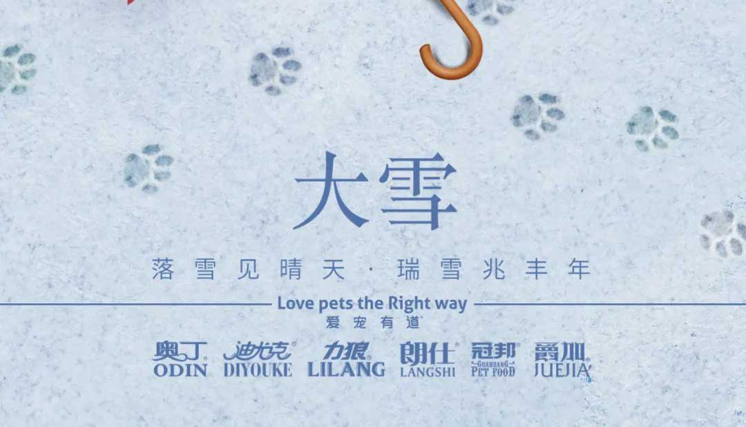 大雪丨雪落知寒意 久伴見初心！