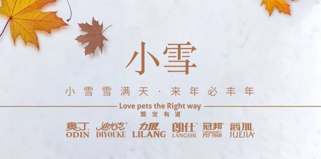 小雪丨天地初寒，歲月安暖